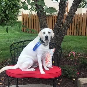 Meet your Posher, Debbie